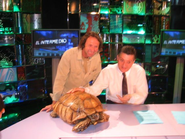 Juan Luis Malpartida presenta una tortuga gigante en la mesa del plató de El Intermedio