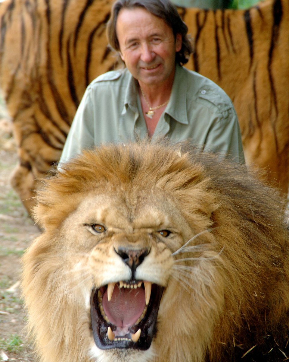 El león Zampabollos ruge en primer plano mientras Juan Luis Malpartida sonríe detrás de él