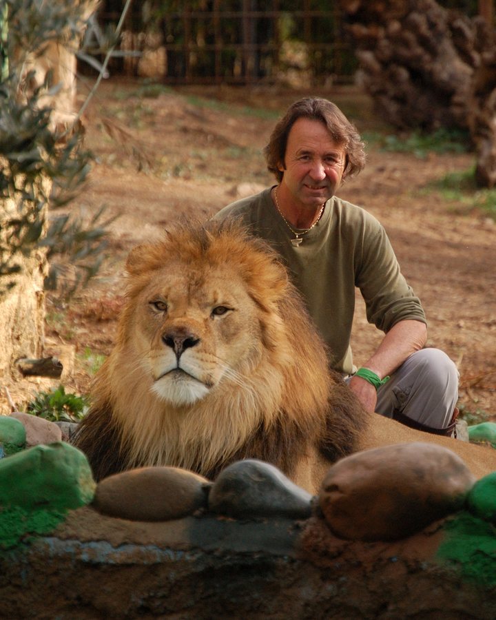 El león Zampabollos, tumbado y tranquilo, junto a Juan Luis Malpartida