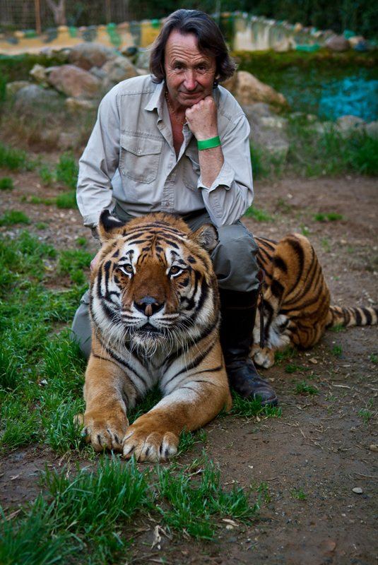 Juan Luis Malpartida agachado detrás de un tigre tumbado y tranquilo sobre la hierba